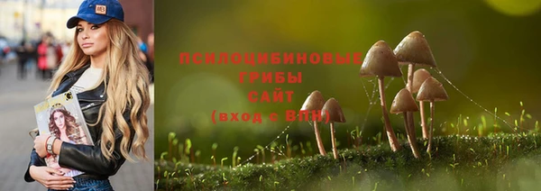 МДПВ Абинск